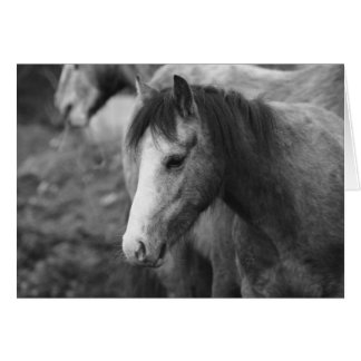 Oskuld av CatMac Hälsningskort