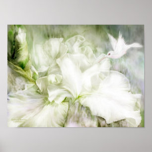 Oskuld Iris-konst Poster/skriver ut Poster