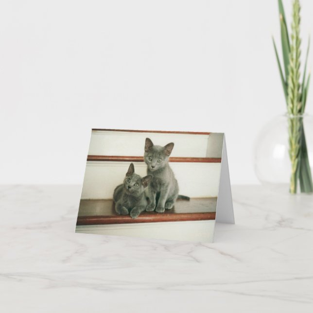 Oskuld noterar kortet kort (Framsida)