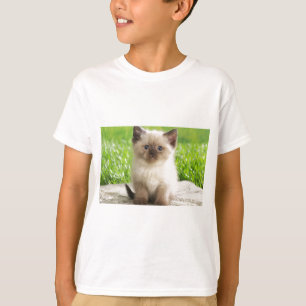 Oskyldig Ragdoll kattunge T-shirt