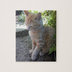 Oskyldiga kattpussel pussel