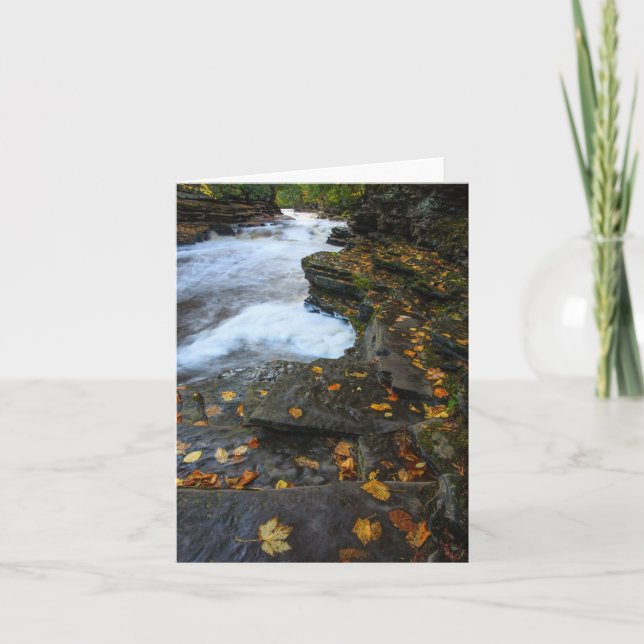 Osläppt Kort (Framsida)