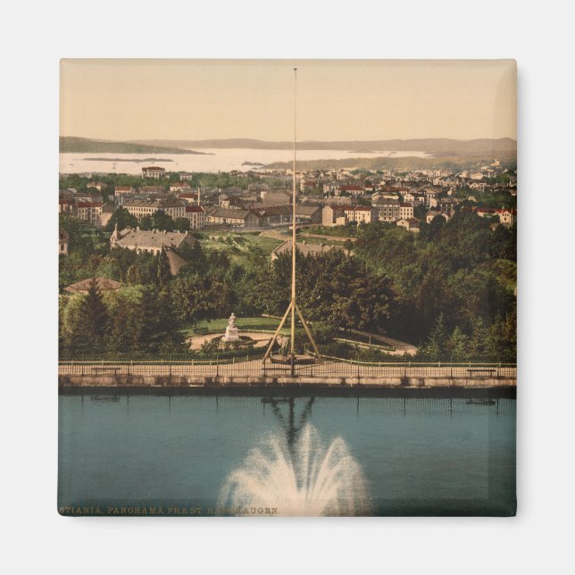 Oslo från St Hanshaugen Park, Norge Magnet (Framsidan)