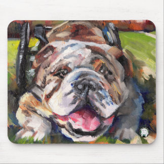 OSNEB-räddingmusen vadderar Musmatta