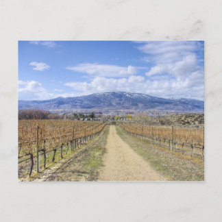 Osoyoos Vineyard-vy Vykort
