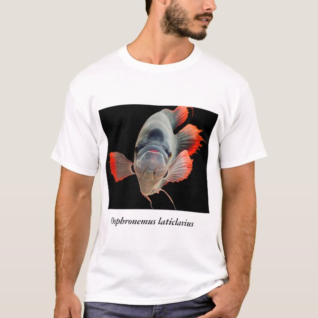 Osphronemus laticlavius tee (Framsida)