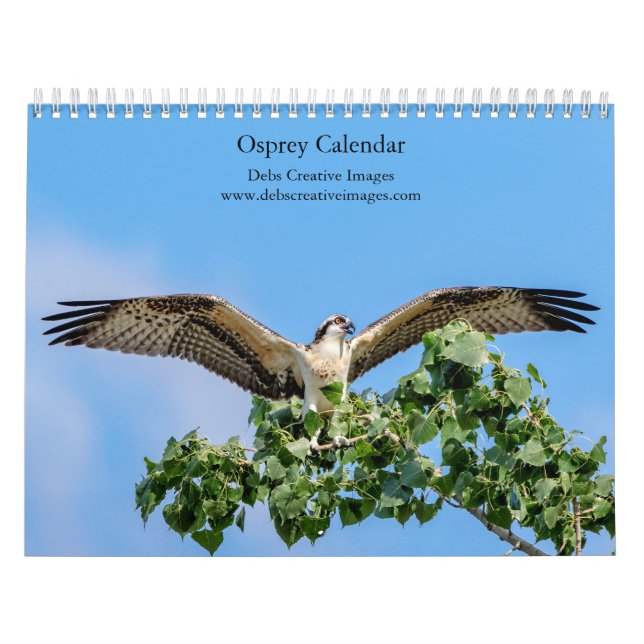 Osprey 2026 kalender (Omslag)