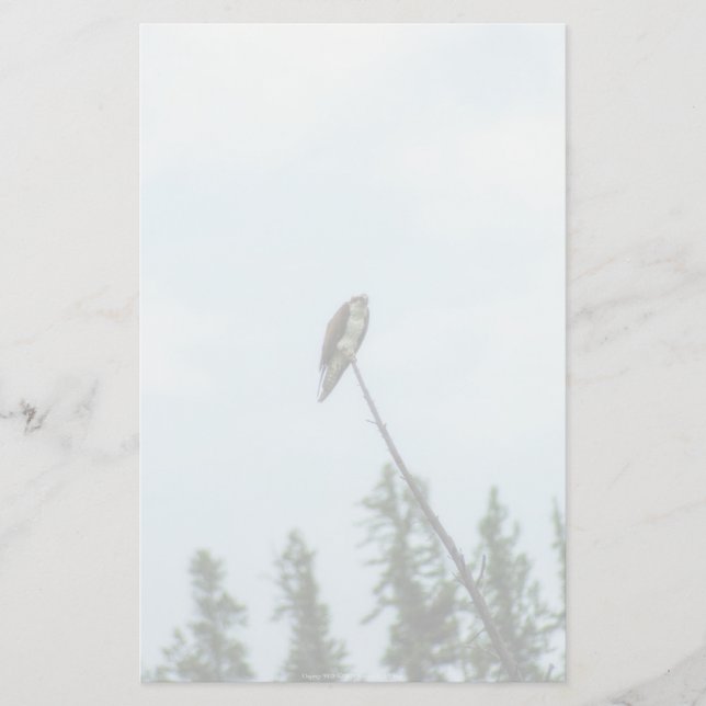 Osprey 9028 brevpapper (Framsida)