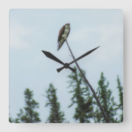 Osprey 9028 fyrkantig klocka