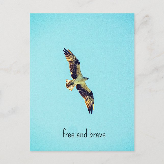 Osprey art helg vykort (Framsida)