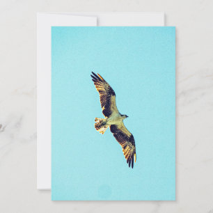 Osprey art inbjudningar