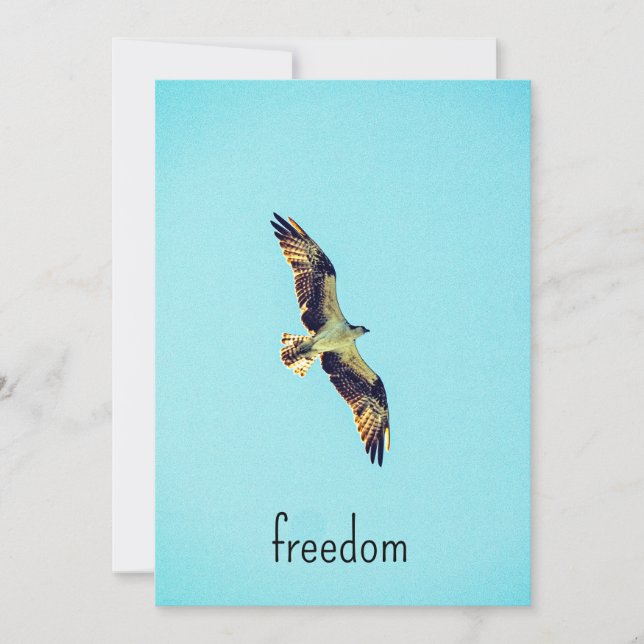 Osprey art tack kort (Framsida)