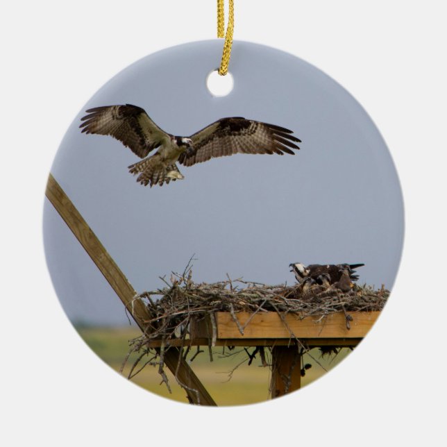 Osprey Bird Nest Ornament (Framsidan)