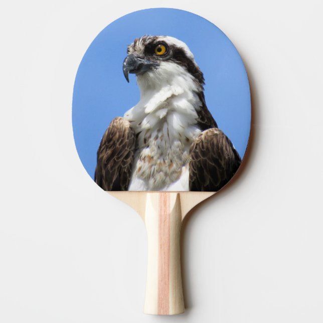 Osprey - Bird - Ping Pong Paddle Pingisracket (Baksidan)