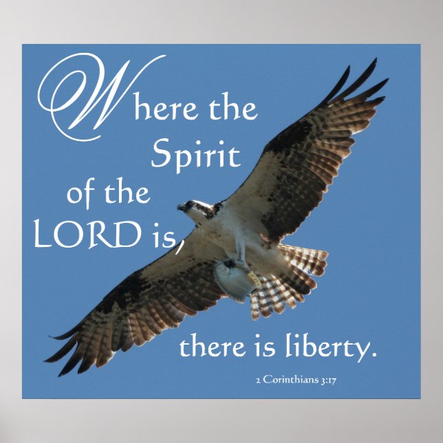 Osprey Bird Spirit of the LORD Print Poster (Framsidan)