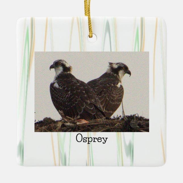 Osprey Birds in Nest Ornament (Framsida)
