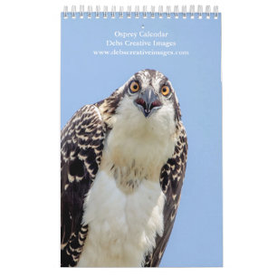 Osprey Family 2026 Kalender