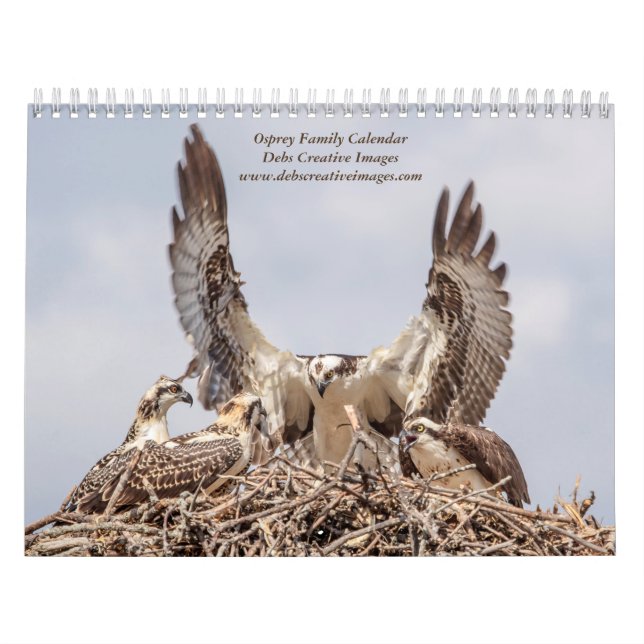 Osprey Family 2026 Kalender (Omslag)