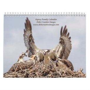 Osprey Family 2026 Kalender
