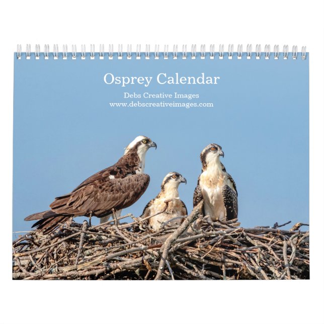 Osprey Family 2026 Kalender (Omslag)