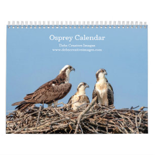 Osprey Family 2026 Kalender