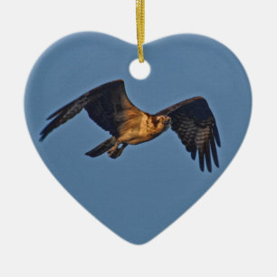 Osprey Fish Eagle som flyger vid Sunset Julgransprydnad Keramik