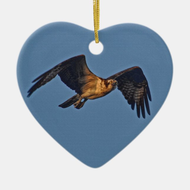 Osprey Fish Eagle som flyger vid Sunset Julgransprydnad Keramik (Framsidan)