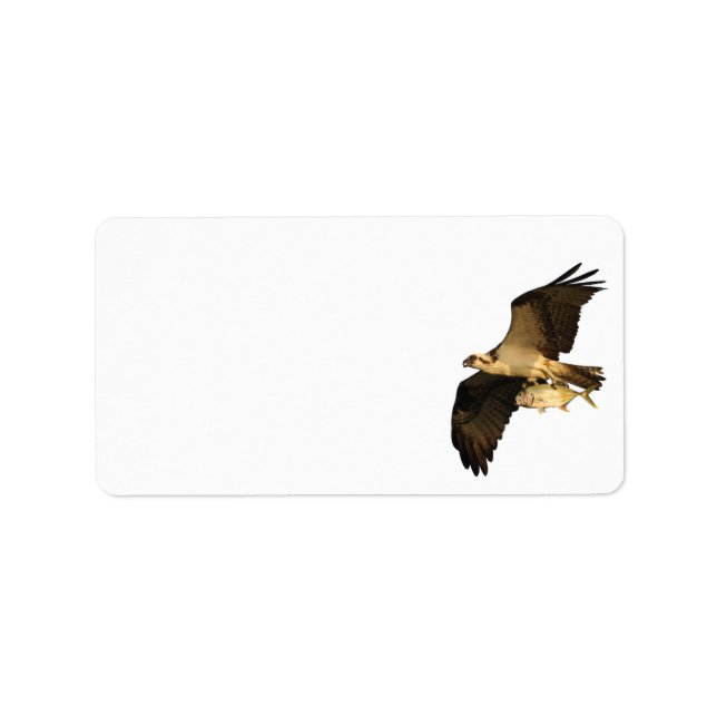 Osprey Fishing Adressetikett (Framsidan)