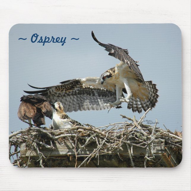 Osprey fly nest Mousepad Musmatta (Framsidan)