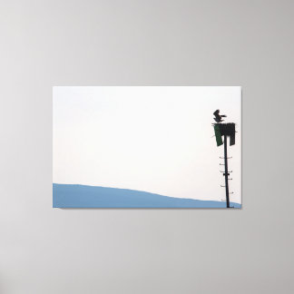 Osprey, Front of Mount Desert Island, Maine Canvastryck