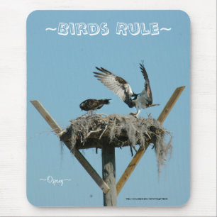 Osprey hawk nest Mousepad Musmatta