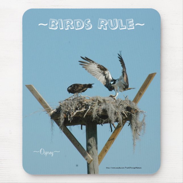 Osprey hawk nest Mousepad Musmatta (Framsidan)