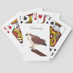 Osprey Hawk Raptor Thunder_Cove Casinokort