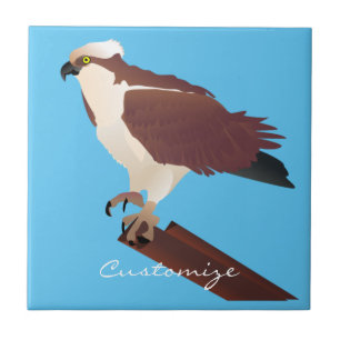Osprey Hawk Raptor Thunder_Cove Kakelplatta