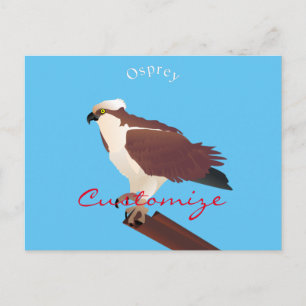 Osprey Hawk Raptor Thunder_Cove Vykort