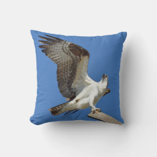 Osprey Hawk som sträcker vingar Pillow Kudde