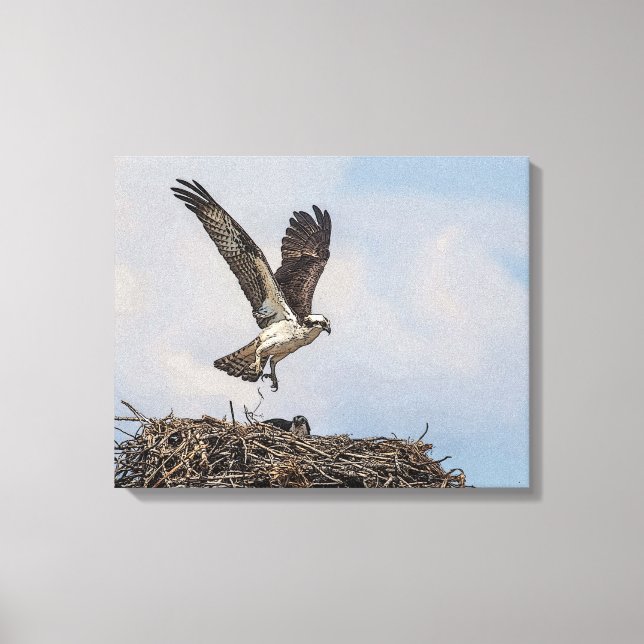 Osprey i ett bo canvastryck (Framsida)