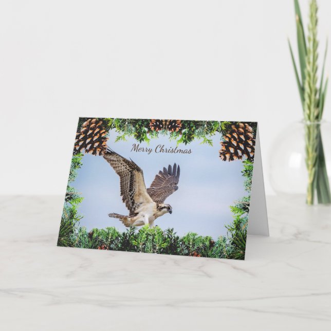 Osprey-julkort Kort (Framsida)