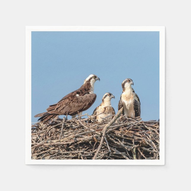 Osprey mamma med sina barn pappersservett (Framsidan)
