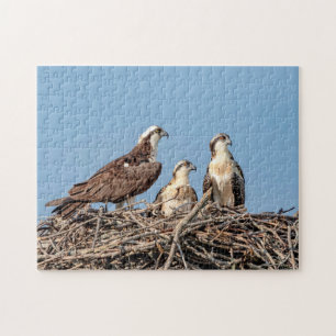 Osprey mamma med sina barn pussel