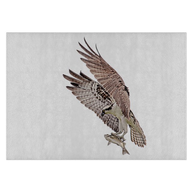 Osprey med fisk (Framsidan)