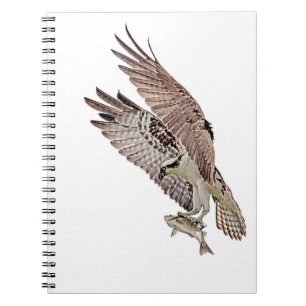 Osprey med fisk anteckningsbok med spiral