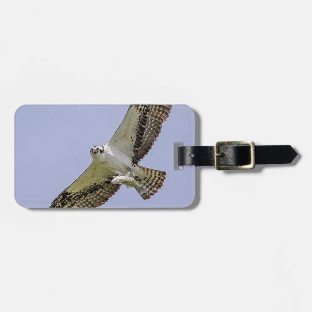 Osprey med fisk bagagebricka (Horisontell Framsida)