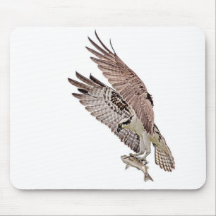 Osprey med fisk musmatta