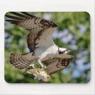 Osprey med stor munbotten musmatta