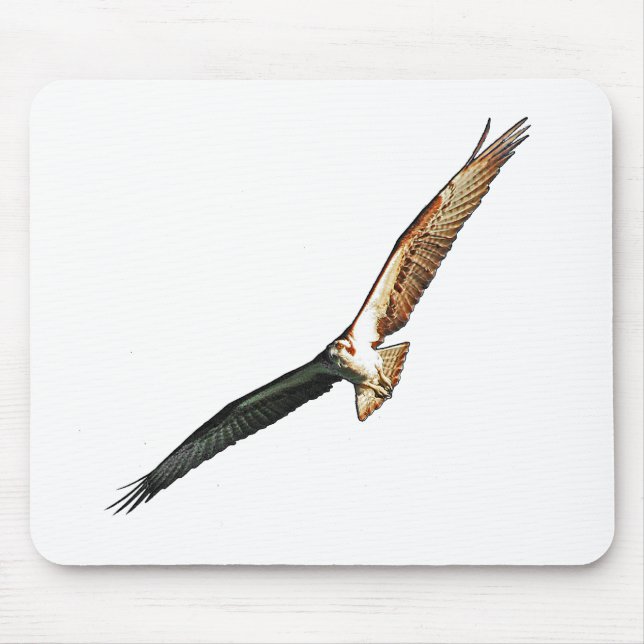 Osprey Musmatta (Framsidan)