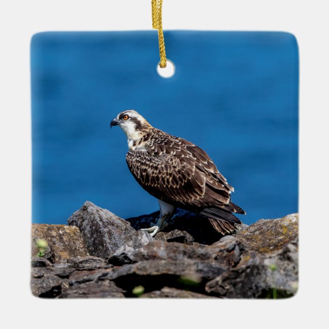 Osprey på sten julgransprydnad keramik (Framsida)