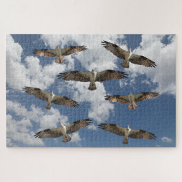 Osprey parad i himlar pussel