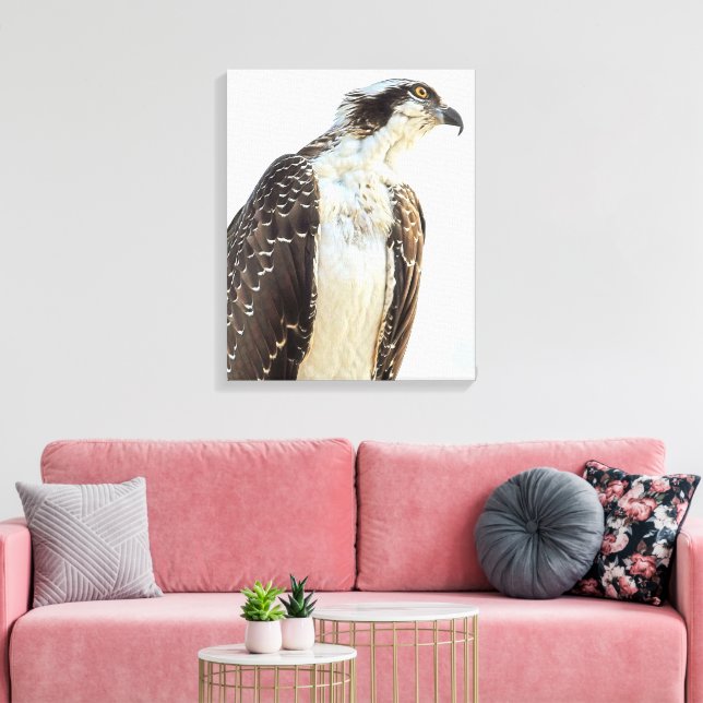 Osprey-profil, arbetsyta canvastryck (Insitu (Vardagsrum))