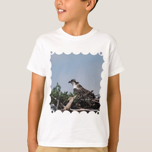Osprey Sitta om Nest Youth T-Shirt (Framsida)